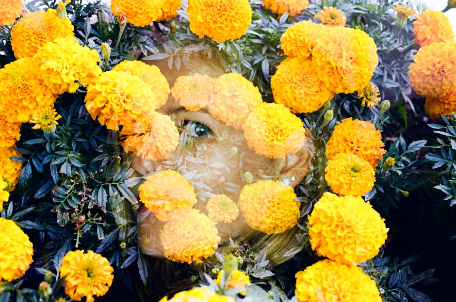 Tagetes – Farverige Blomster med Unikke Egenskaber